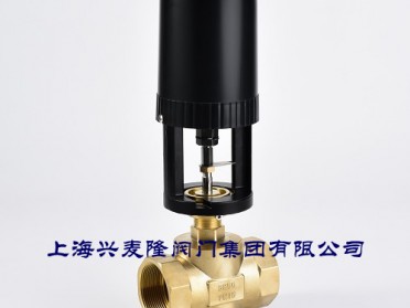 上海兴麦隆比例积分电动二通调节阀 黄铜丝口连接